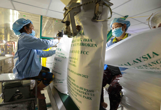 Phê duyệt Chiến lược phát triển thị trường xuất khẩu gạo Việt Nam ảnh 1