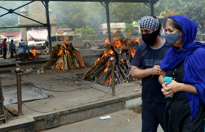 Dịch COVID-19: Ấn Độ ghi nhận số ca tử vong vượt 250.000 người ảnh 1