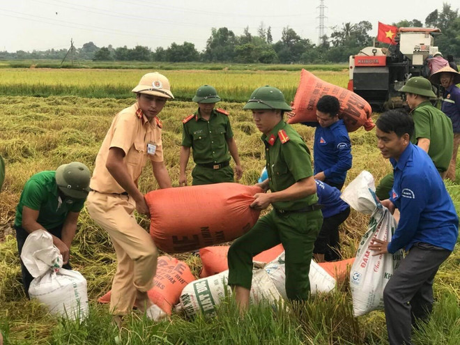 Các lực lượng giúp dân thu hoạch lúa chạy bão tại Hà Tĩnh. (Ảnh: Hoàng Ngà/TTXVN) Bão số 4 vào đất liền và suy yếu thành áp thấp nhiệt đới ảnh 1