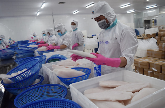 Quy trình sản xuất tại một cơ sở chế biến thủy sản của tỉnh Đồng Tháp. (Ảnh: Chương Đài/TTXVN) VASEP dự báo xuất khẩu thủy sản năm 2020 đạt khoảng 8,6 tỷ USD ảnh 1