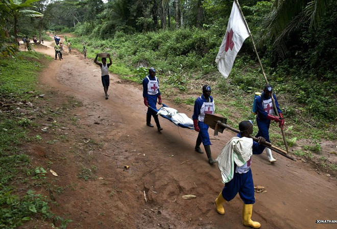 Ba nhân viên Ủy ban Chữ thập Đỏ quốc tế bị bắt cóc tại Congo ảnh 1