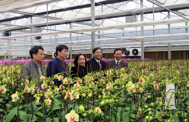 Xây dựng Hà Nam trở thành một cực tăng trưởng của Đồng bằng Bắc Bộ ảnh 2