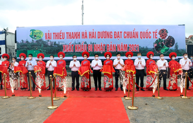 Xuất khẩu những tấn vải thiều Thanh Hà đầu tiên đi Nhật Bản. (Ảnh: Mạnh Tú/TTXVN) Hải Dương xuất khẩu những tấn vải thiều đầu tiên trong năm 2021 ảnh 1