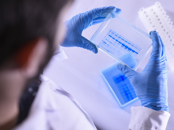 Nhật Bản bào chế thành công vaccine giúp loại bỏ các tế bào lão hóa ảnh 1