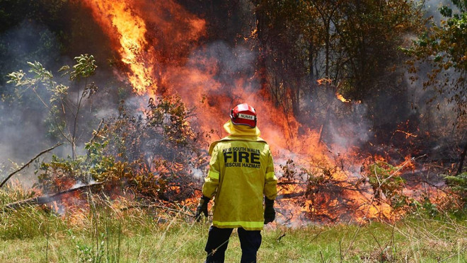 Australia: Tình nguyện viên chữa cháy lại cố tình gây cháy ảnh 1