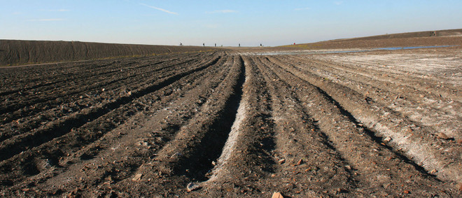 Ngăn chặn tình trạng nhiễm mặn đất vì một tương lai bền vững ảnh 2