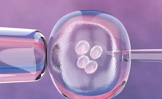 Tác dụng bất ngờ của AI trong hoạt động thụ tinh ống nghiệm ảnh 2