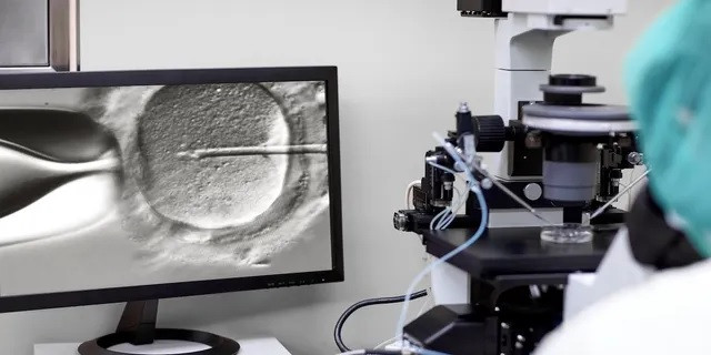 Tác dụng bất ngờ của AI trong hoạt động thụ tinh ống nghiệm ảnh 1