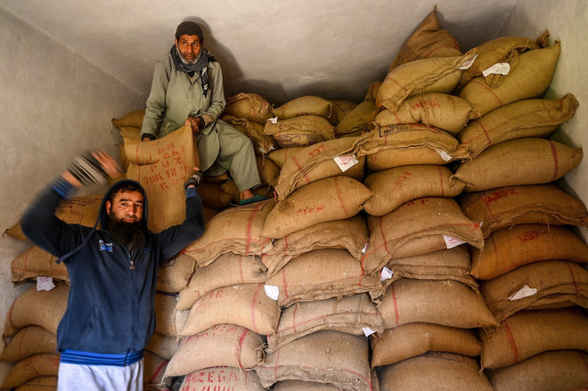 Vận chuyển gạo tại kho ở Srinagar, Ấn Độ. (Ảnh: AFP/TTXVN) Giá gạo tăng mạnh gây rủi ro lớn cho an ninh lương thực toàn cầu ảnh 2