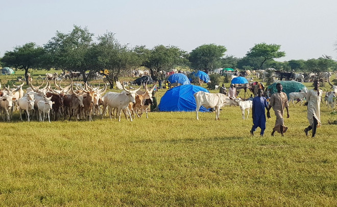 10 người thiệt mạng trong các cuộc đụng độ ở miền Nam Cộng hòa Chad ảnh 1