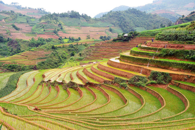 [Photo] Ruộng bậc thang Mù Cang Chải vào mùa gieo cấy ảnh 1