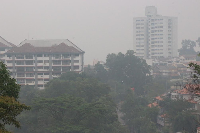 Ngành hành không và hàng hải Malaysia khốn đốn vì khói bụi ảnh 1