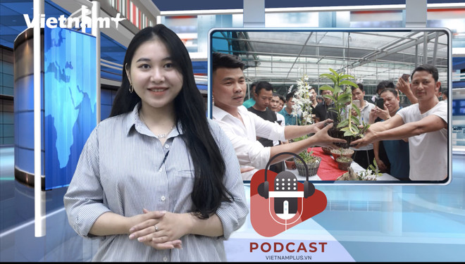 [Audio] Điều bất thường từ các vụ giao dịch lan đột biến trăm tỷ ảnh 1