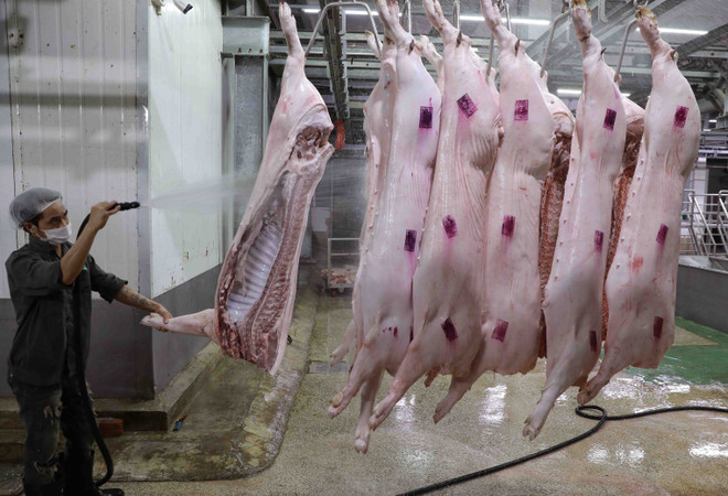 Giá thịt lợn lập đỉnh giúp cổ phiếu ngành chăn nuôi tăng mạnh ảnh 1