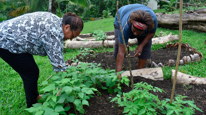Thay đổi để đối phó tình trạng thiếu lương thực trong dịch COVID-19 ảnh 1