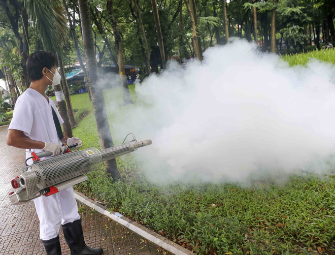 Hướng đến loại trừ bệnh sốt rét tại Việt Nam vào năm 2030 ảnh 2