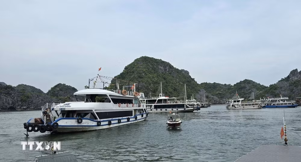 ttxvn-vinh-lan-ha.jpg