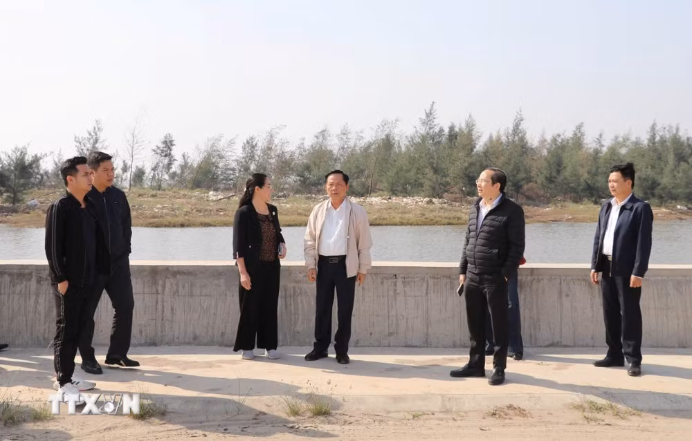 ttxvn-ninh-binh-quat-lam.jpg