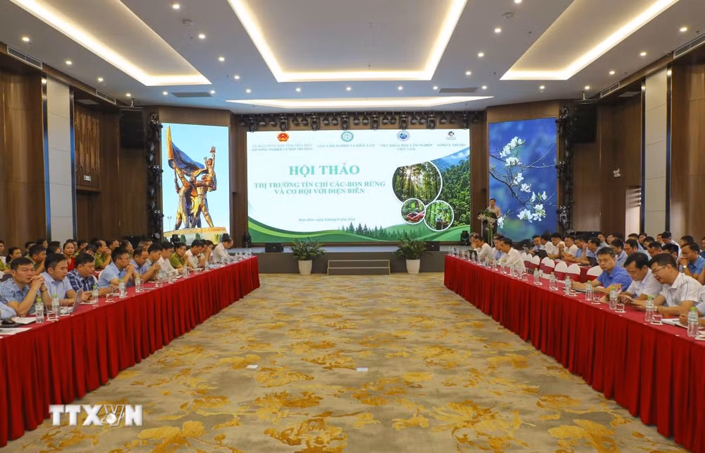 ttxvn-tin-chi.jpg