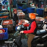 Chợ cá lớn nhất Thủ đô hối hả trong đêm trước ngày ông Công ông Táo