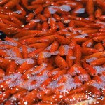 Chép Tam Dương đắt khách, vựa cá Thủ đô nhộn nhịp trước thềm ông Công ông Táo