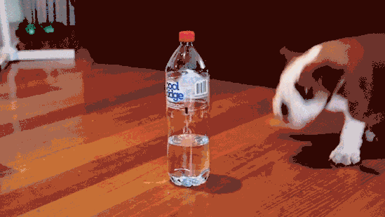 Hiểu rõ tuổi thọ của thực phẩm để làm bà nội trợ thông minh ảnh 6