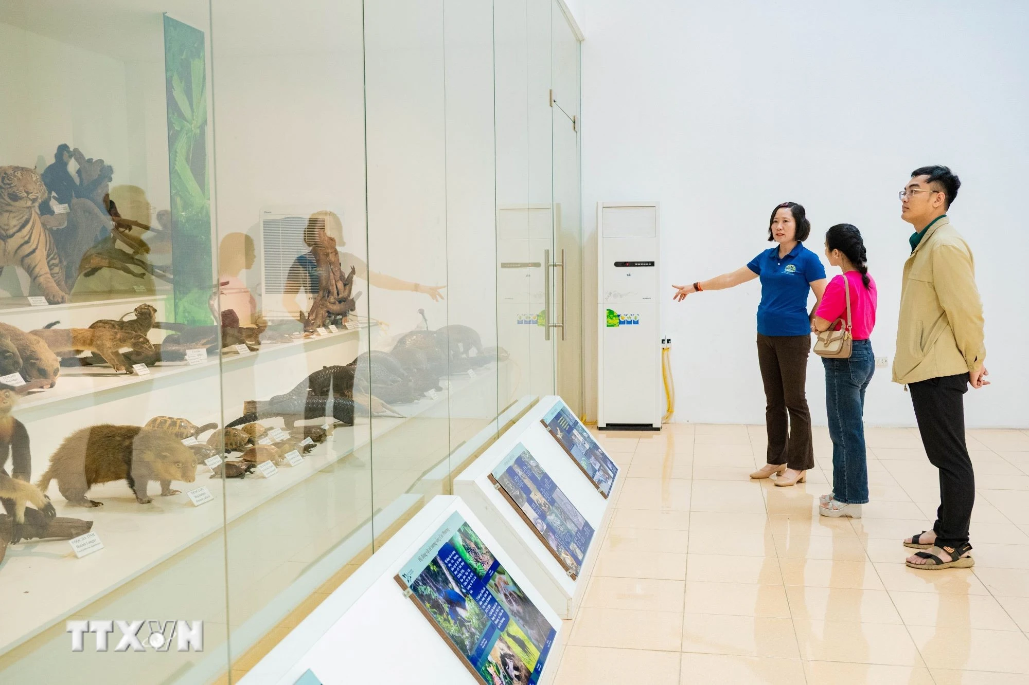 Khám phá bảo tàng xanh giữa lòng Vườn Quốc gia Cúc Phương