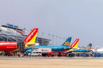 Máy bay của các hãng hàng không Việt Nam tại Sân bay Quốc tế Nội Bài. (Ảnh: PV/Vietnam+)