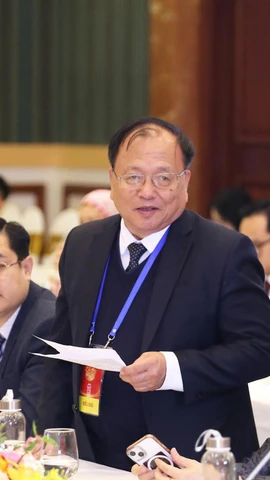 Giáo sư, Tiến sỹ Lê Thành Nhân, kiều bào Pháp chia sẻ tham luận tại buổi gặp mặt. (Ảnh: CTV/Vietnam+)