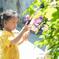 Sex là chủ đề tìm kiếm “nóng” của trẻ em năm 2009 | Vietnam+ ...