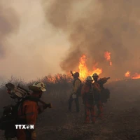 Khói lửa bốc lên từ đám cháy rừng tại California, Mỹ. (Nguồn: THX/TTXVN)
