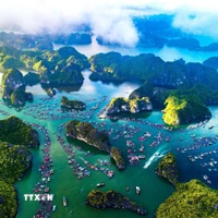 Quần đảo Cát Bà được UNESCO công nhận là khu Dự trữ sinh quyển thế giới (năm 2004); được Thủ tướng Chính phủ công nhận là Di tích Quốc gia đặc biệt (năm 2013). (Ảnh: TTXVN)