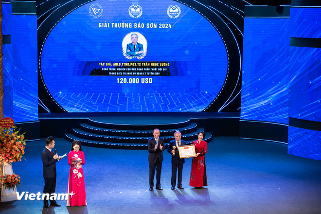 vnp-giai-thuong-bao-son-2024-3.jpg
