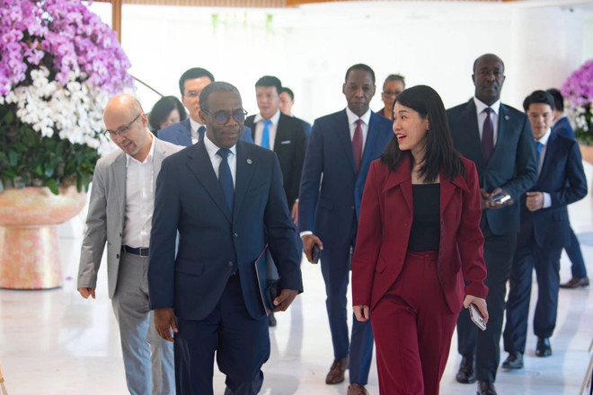 Frau Nguyen Thi Hoa wurde im Februar 2025 zur Generaldirektorin von Viettel Global ernannt. (Foto: Viettel) anh-2-ba-hoa-tung-dam-nhiem-nhieu-vai-tro-quan-trong-tai-tap-doan-viettel-truong-phong-dau-tu-quoc-te-pho-ban-xuc-tien-dau-tu-pho-tong-giam-doc-phu-trach-xuc-tien-dau-tu-truong.jpg