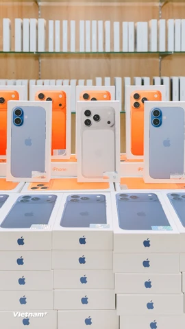 (Ảnh: PV/Vietnam+)