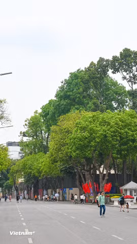 Việc thí điểm từ ngày 1/7/2026 tại một số khu vực trong Vành đai 1 được xem là bước đi cần thiết nhằm hiện thực hóa các mục tiêu giảm phát thải, cải thiện chất lượng không khí và bảo vệ sức khỏe cộng đồng. (Ảnh: Minh Sơn/Vietnam+)