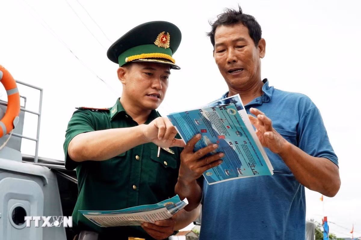 ttxvn-quang-ngai-tau-ca-3.jpg