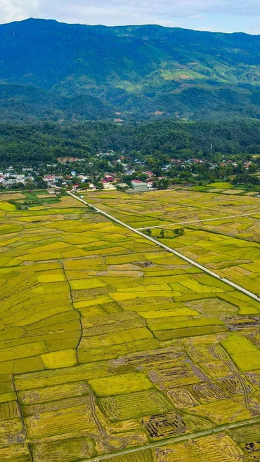 Cánh đồng Mường Thanh ở khu vực xã Thanh An, huyện Điện Biên, tỉnh Điện Biên. (Ảnh: Xuân Tư/TTXVN)