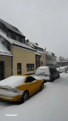 Bão tuyết bao phủ phần lớn lãnh thổ nước Đức