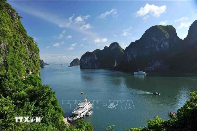 Thuyền Ba Vách truyền thống chính thức được phép phục vụ du lịch trên Vịnh Hạ Long