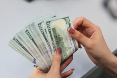 Các Thống đốc ADB sửa đổi Điều lệ, mở đường cho việc mở rộng hoạt động lên 50%. (Ảnh: Vietnam+)