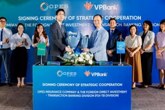 VPBank và OPES ký hợp tác phát triển giải pháp tài chính - bảo hiểm toàn diện cho khách hàng FDI. (Ảnh: Vietnam+)