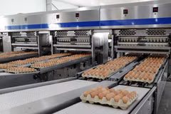 Dây truyền đóng gói tự động trứng gá Hòa Phát. (Ảnh: Vietnam+)