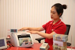 Hàng loạt ngân hàng đẩy mạnh tăng vốn. (Ảnh: Vietnam+)