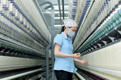 Chuyên gia UOB đánh giá nền kinh tế Việt Nam vẫn thể hiện khả năng chống chịu và tính năng động. (Ảnh: Vietnam+)