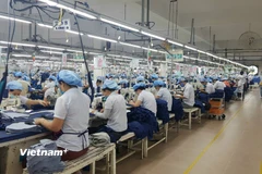 Năm 2025 xuất khẩu của Việt Nam đã đạt kết quả tích cực. (Ảnh: Vietnam+)