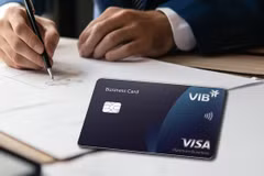 Tăng trưởng doanh số giao dịch 100%, sức bật từ hệ sinh thái thẻ VIB. (Ảnh: Vietnam+)