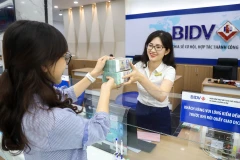 Nhiều ngân hàng đẩy mạnh tín dụng xanh nhằm thúc đẩy tăng trưởng bền vững tại Việt Nam. (Ảnh: Vietnam+)