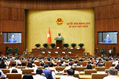 Bộ trưởng Bộ Tư pháp Hoàng Thanh Tùng trình bày Tờ trình về dự thảo Nghị quyết của Quốc hội về thí điểm chế định luật sư công. (Ảnh: Doãn Tấn/TTXVN)