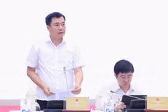 Thứ trưởng Bộ Công Thương Nguyễn Sinh Nhật Tân trả lời tại họp báo Chính phủ ngày 4/7. (Ảnh: Vietnam+)